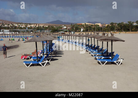 Single einsame Menschen auf dem Weg durch Leere Liegestühle an der Costa Caleta de Fuste Strand auf Fuerteventura auf den Kanarischen Inseln, Spanien, EU. Stockfoto