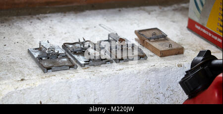 Zeile aus Metall und Holz- Maus Traps in Scheune auf Bauernhof in Nidderdale. North Yorkshire Stockfoto