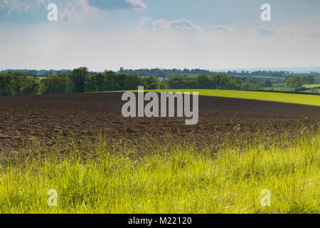 Ein Bild in der Abendsonne über die Landschaft von Leicestershire, England Großbritannien erfasst Stockfoto