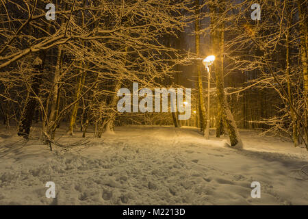 Pfad in ein Wald voll mit Schnee und durch Straßenlaternen beleuchtet Stockfoto