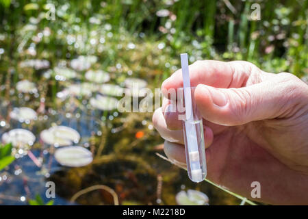 PH-Analyse von einem See mit einem Teststreifen im Reagenzglas Stockfoto