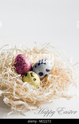 Ostern Wachteleier im Heu Nest auf weißem Hintergrund gefärbt. Stockfoto