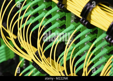 Lwl-Kabel mit Stecker Typ SC-APC Single Mode im Rechenzentrum Stockfoto