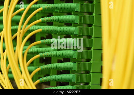 Lwl-Kabel mit Stecker Typ SC-APC Single Mode im Rechenzentrum Stockfoto