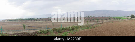 Farm- und Gemüsegärten und Gewächshäuser in der Nähe des Toten Meeres Stockfoto