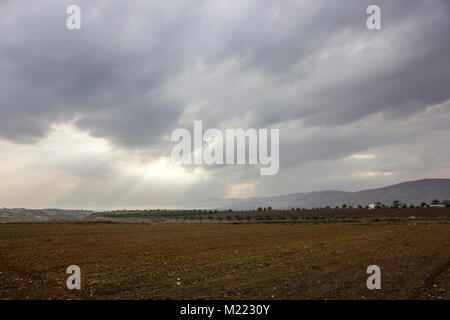 Farm- und Gemüsegärten und Gewächshäuser in der Nähe des Toten Meeres Stockfoto