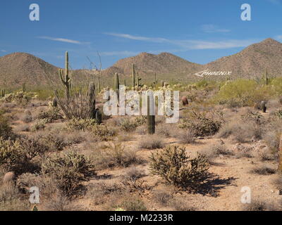 Arizona Wüste Szenen in und um Aberglauben Mountain, Arizona. Stockfoto