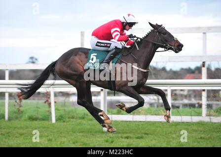 Blackbow und Patrick Mullins gewinnen die Goffs zukünftige Sterne INH flach Rennen bei Tag eines der Dublin Racing Festival an der Rennbahn Leopardstown. Stockfoto