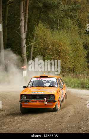 Historische Markierung 2 Ford Escort Rally Car in Cropton Wald, Yorkshire, UK im Jahr 2011 Trackrod Rallye. Stockfoto