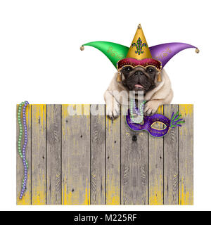 Mardi gras Carnival mops Hund mit Harlequin jester Hut und venezianische Maske hängen auf hölzernen Zaun, auf weißem Hintergrund Stockfoto