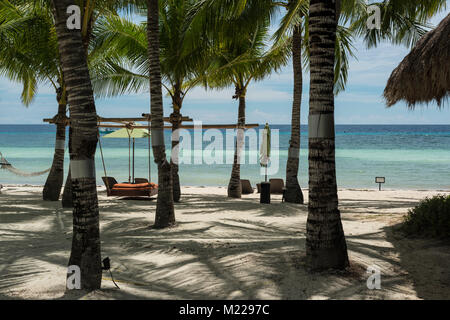 Palmen an einem tropischen Strand mit Blick auf den Ozean Stockfoto