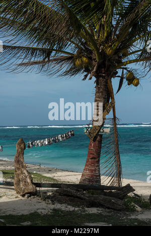 Palmen an einem tropischen Strand mit Blick auf den Ozean Stockfoto