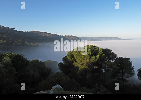 Blick über Tal mit niedrigen Bank von Cloud Parque Natural Sierra de Andujar, Jaen, Spanien Januar Stockfoto