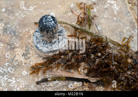 Angeschwemmte Kunststoffe Wurf die Strände auf Grand Cayman, Cayman Islands, Karibik. Stockfoto