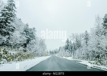 Schönen winter Blick entlang der Straße von Biei, Hokkaido Daisetsuzan Nationalpark, dem größten Nationalpark. Fahren in Hokkaido ist erstaunlich. Stockfoto