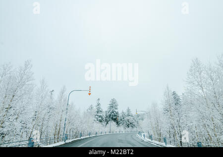 Schönen winter Blick entlang der Straße von Biei, Hokkaido Daisetsuzan Nationalpark, dem größten Nationalpark. Fahren in Hokkaido ist erstaunlich. Stockfoto