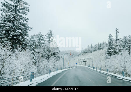 Schönen winter Blick entlang der Straße von Biei, Hokkaido Daisetsuzan Nationalpark, dem größten Nationalpark. Fahren in Hokkaido ist erstaunlich. Stockfoto