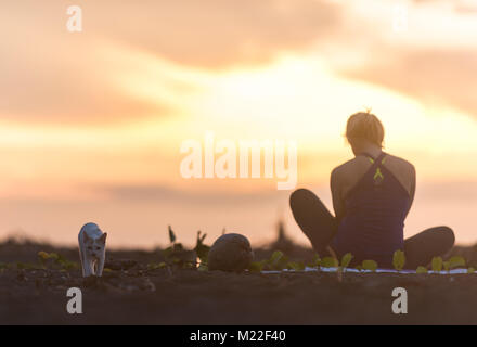 Yoga am Strand während einer spektakulären Sonnenuntergang Stockfoto