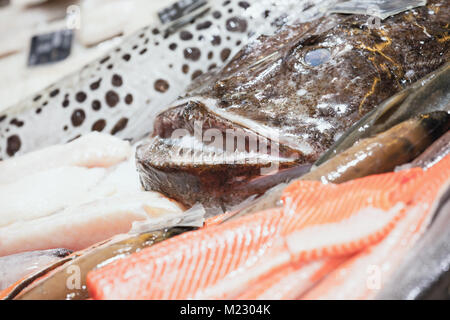 Angler Fisch und andere Meeresfrüchte lag auf Zähler in Fish Shop, closeup Foto mit selektiven Fokus Stockfoto