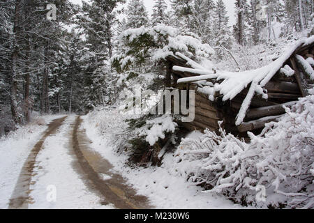 Eine verschneite Blockhütte zusammengebrochen, entlang der Straße außerhalb der Granat Ghost Town, auf Bear Gulch, nordwestlich von Drummond, in Granit County im US-Bundesstaat Montana. Stockfoto