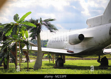 Flugzeug im Dschungel. Das Flugzeug landete in der dichten Vegetation von Stockfoto