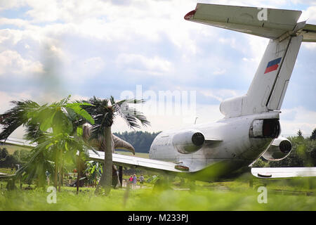 Flugzeug im Dschungel. Das Flugzeug landete in der dichten Vegetation von Stockfoto