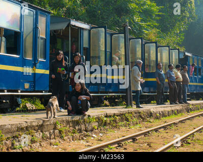 Ooty, Tamil Nadu. 01.08.2018. Mädchen feed Affen in Nilgiri, nahe dem Bahnhof, Tamil Nadu, Indien Stockfoto