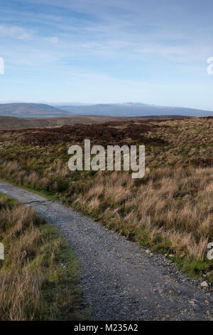 Blick über das Moor aus dem Pfad an der Seite von Pen-y-Ghent entlang der Pennine Way Route. In der Ferne ist Super Whernside. Stockfoto