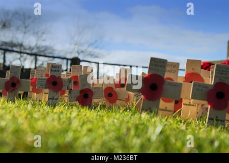 Erinnerung Tag der rote Mohn auf kleine hölzerne Kreuze in der Nähe des War Memorial in Knaresborough Castle, North Yorkshire, England, UK. Stockfoto