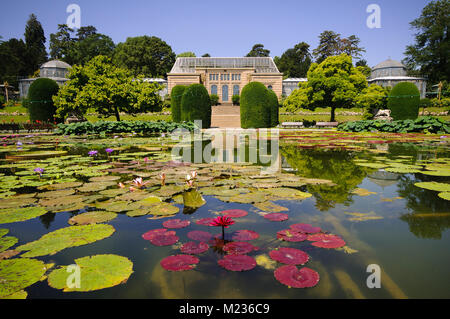 Stuttgart, Wilhelma, Baden-Württemberg, Deutschland, Europa Stockfoto