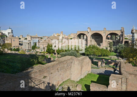 Blick auf die Basilika von massenzio auch als Maxentius & Konstantin bekannt vom Palatin in Rom in Italien Stockfoto