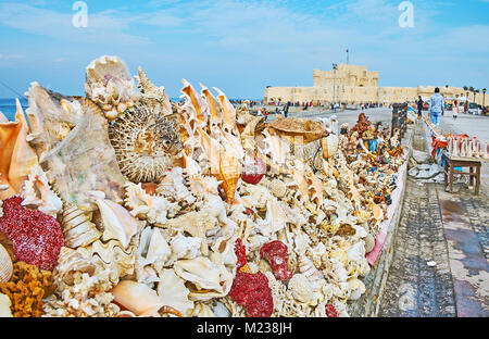 ALEXANDRIA, Ägypten - Dezember 17, 2017: Die riesige Muscheln, Korallen und getrockneten Meeresbewohner in Markt mit Blick auf das Fort Qaitbay auf Hintergrund ausgeht, o Stockfoto