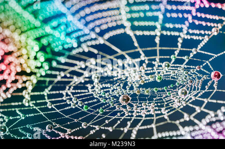 In der Nähe von schönen bunten Cobweb mit Perlen von Wassertropfen. Mehrfarbige Textur von Spinnennetz mit glitzernden Regentropfen auf Nacht Hintergrund. Stockfoto