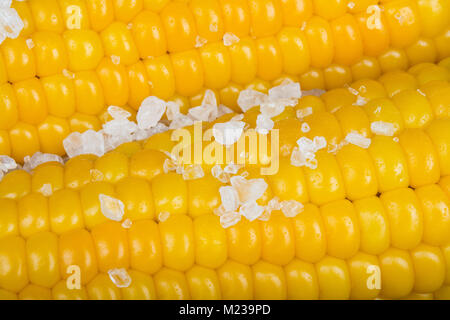 Nahaufnahme der gelbe Maiskolben mit Salzkristallen. Von den gekochten gesalzener Mais mit schönen großen goldenen Körner Hintergrund. Stockfoto