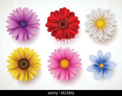 Frühling Blumen bunte Vektor in weißem Hintergrund. Sammlung von Daisy und Sonnenblumen mit verschiedenen Farben für Frühjahr Saison Stock Vektor