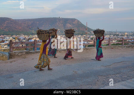 Frauen Brennholz, Bundi, Rajasthan, Indien Stockfoto