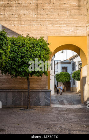 Cordoba, Spanien - 10 April, 2017: Alte typische Straße mit Orange Tree und Arch in Cordoba Stockfoto