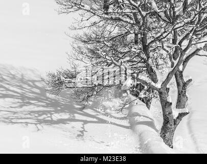 Sonnenaufgang in den Bergen von Ubina, zwischen Asturien und Leon, an einem Wintertag mit viel Schnee, in den frühen Morgenstunden zu fotografieren, die eindeutigen Farben Stockfoto