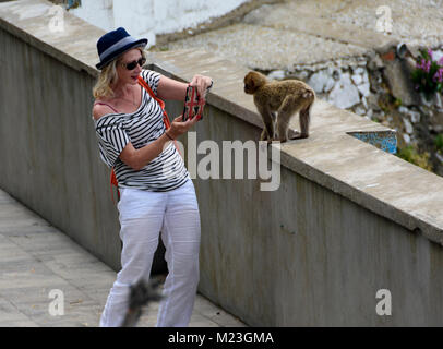 Gibraltar, touristische Fotografieren eine junge Barbary macaque. Stockfoto