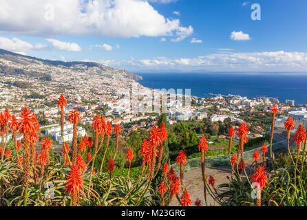 Madeira Portugal Madeira Blick auf Funchal, der Hauptstadt von Madeira über die Bucht und Hafen Altstadt Funchal Madeira Portugal Europa suchen Stockfoto