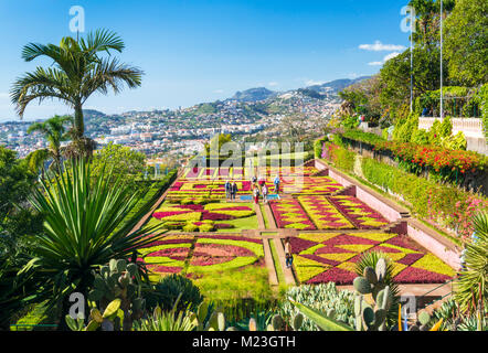 MADEIRA Portugal Madeira Funchal Botanischer Garten der Botanische Garten Jardim Botanico oberhalb der Hauptstadt Funchal, Madeira, Portugal, EU, Europa Stockfoto