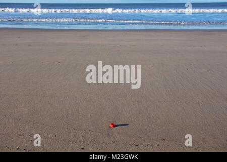 Plastikflaschen gewaschen oben am Strand Stockfoto