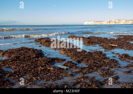 Plastikflaschen gewaschen oben am Strand Stockfoto