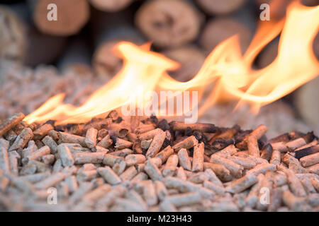 Holz- pellets in Flammen - Holz- Biomasse, erneuerbare Energien Stockfoto