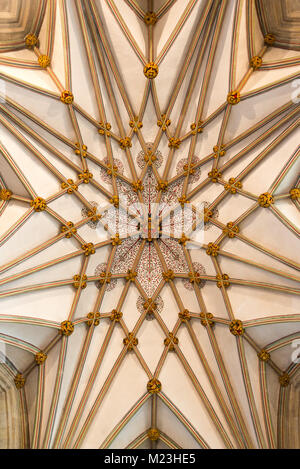 Symmetrische Muster einer verzierten Decke im Kirchenschiff des 12. Jahrhunderts Wells Cathedral, Wells, Somerset, Großbritannien Stockfoto