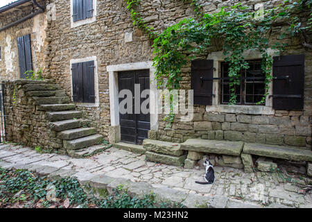 Grožnjan Bergdorf, Kroatien Stockfoto