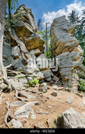 Rocky Tor, Bildung auf Trojak mount in goldene Berge in der Nähe der Stadt Ladek Zdroj (ger. Bad Landeck), Woiwodschaft Niederschlesien. Polen, Europa. Stockfoto