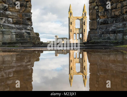 St Andrews Cathedral Reflexionen, St Andrews, Fife, Schottland, Großbritannien Stockfoto