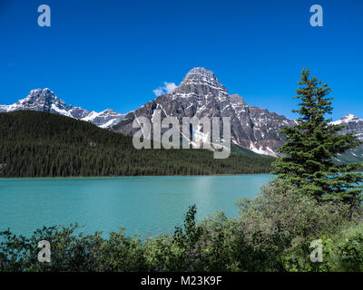 Wasservögel Seen, Icefields Parkway, Banff National Park, Alberta, Kanada. Stockfoto
