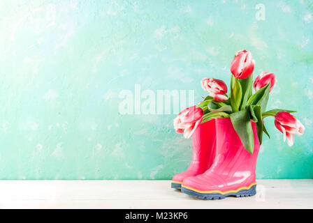 Feder Konzept. Blumen Tulpen in Gummi hell rosa Stiefel, auf einem hellblauen und weißen Hintergrund. Platz kopieren Stockfoto